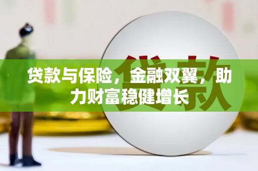 石龙贷款与保险，金融双翼，助力财富稳健增长