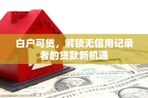 石龙白户可贷，解锁无信用记录者的贷款新机遇
