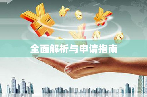 石龙全面解析与申请指南