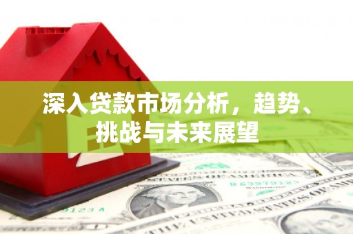 石龙深入贷款市场分析，趋势、挑战与未来展望