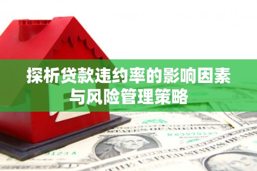 石龙探析贷款违约率的影响因素与风险管理策略