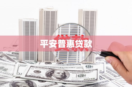 石龙平安普惠贷款