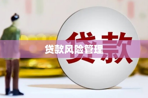 石龙贷款风险管理