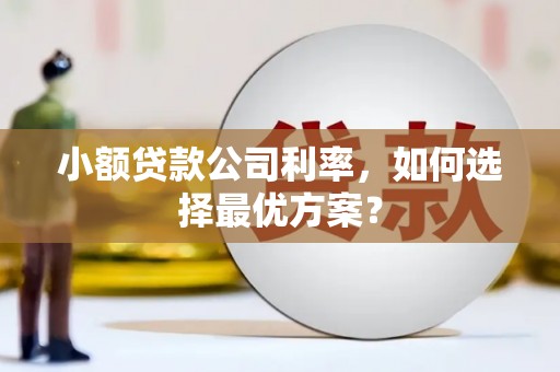 石龙小额贷款公司利率，如何选择最优方案？