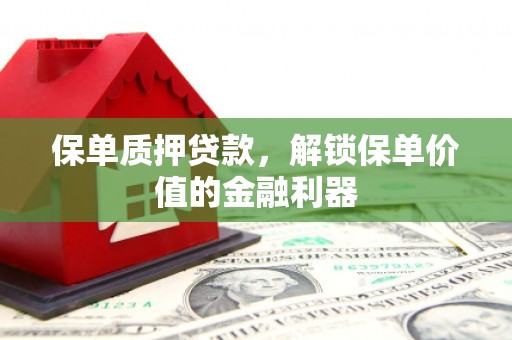 石龙保单质押贷款，解锁保单价值的金融利器