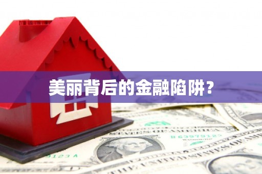 石龙美丽背后的金融陷阱？