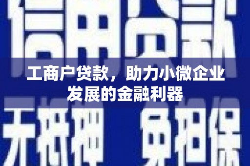 石龙工商户贷款，助力小微企业发展的金融利器