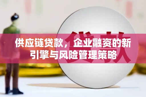 石龙供应链贷款，企业融资的新引擎与风险管理策略