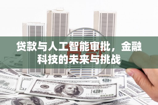石龙贷款与人工智能审批，金融科技的未来与挑战