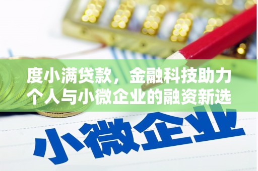 石龙度小满贷款，金融科技助力个人与小微企业的融资新选择