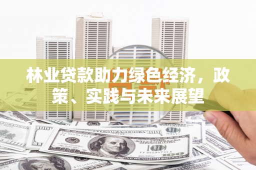 石龙林业贷款助力绿色经济，政策、实践与未来展望