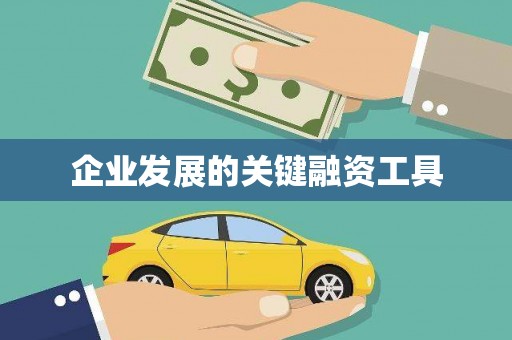 石龙企业发展的关键融资工具