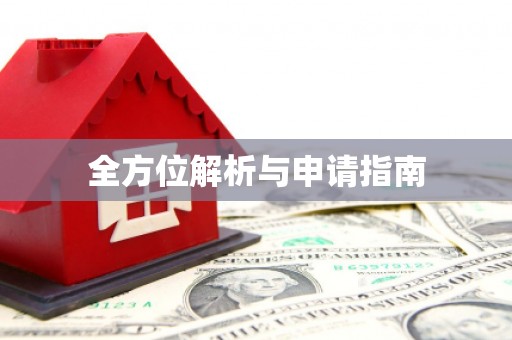石龙全方位解析与申请指南