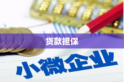 石龙贷款担保