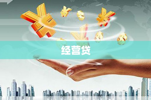 石龙经营贷