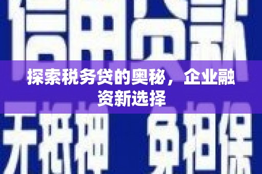 石龙探索税务贷的奥秘，企业融资新选择