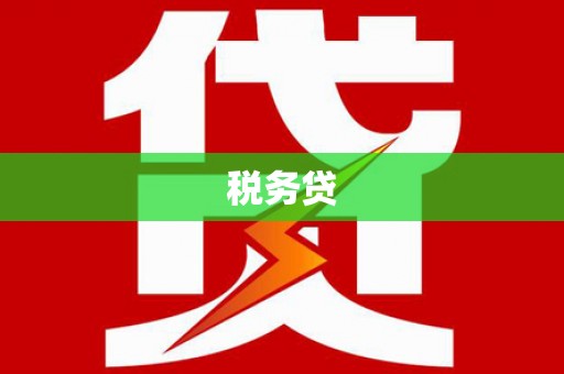 石龙税务贷