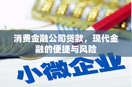 石龙消费金融公司贷款，现代金融的便捷与风险