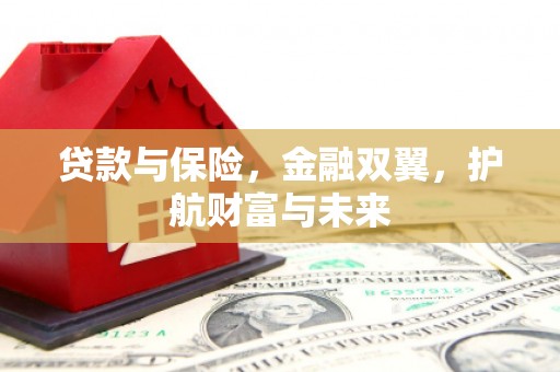 石龙贷款与保险，金融双翼，护航财富与未来