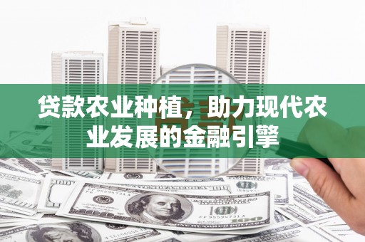 石龙贷款农业种植，助力现代农业发展的金融引擎