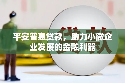 石龙平安普惠贷款，助力小微企业发展的金融利器