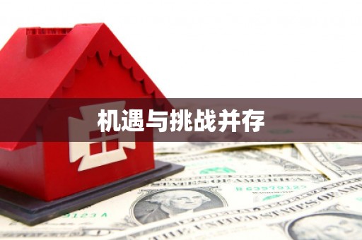 石龙机遇与挑战并存