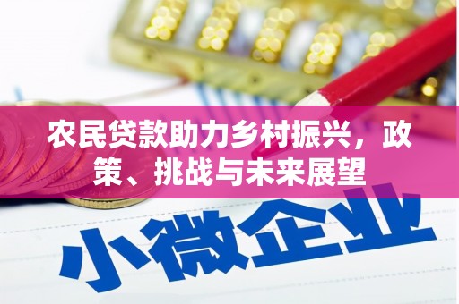 石龙农民贷款助力乡村振兴，政策、挑战与未来展望