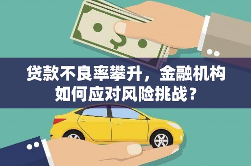 石龙贷款不良率攀升，金融机构如何应对风险挑战？