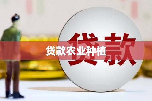 石龙贷款农业种植