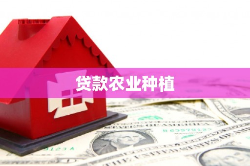 石龙贷款农业种植