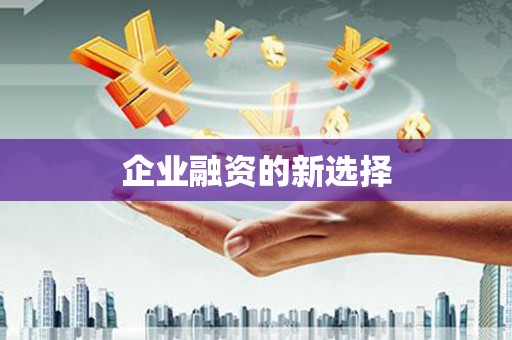 石龙企业融资的新选择