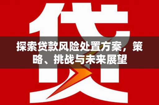 石龙探索贷款风险处置方案，策略、挑战与未来展望