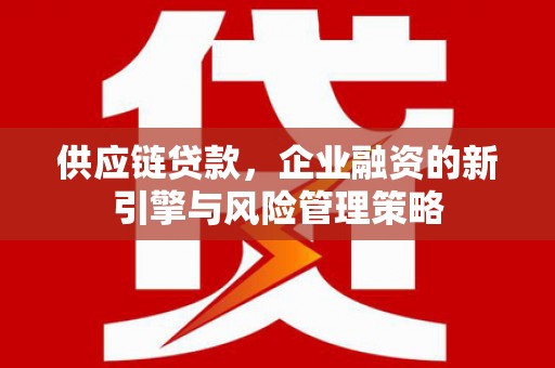 石龙供应链贷款，企业融资的新引擎与风险管理策略