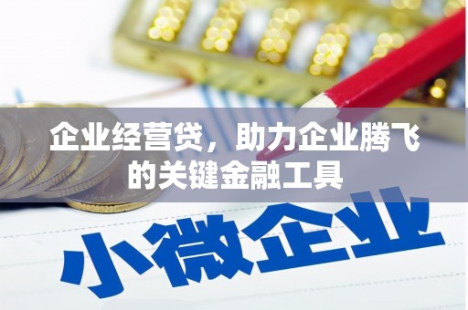 石龙企业经营贷，助力企业腾飞的关键金融工具