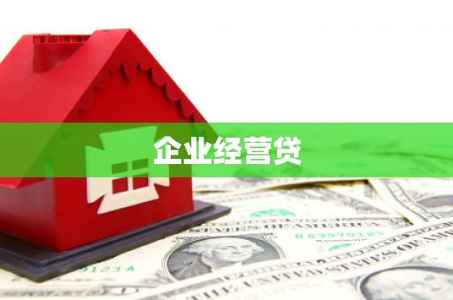 石龙企业经营贷