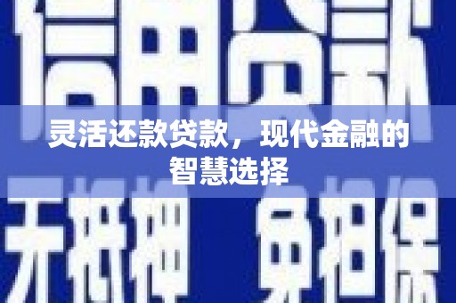 石龙灵活还款贷款，现代金融的智慧选择
