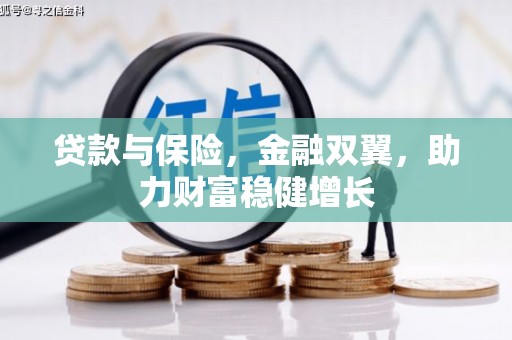 石龙贷款与保险，金融双翼，助力财富稳健增长