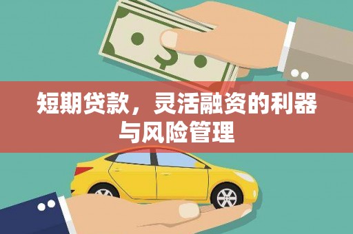 石龙短期贷款，灵活融资的利器与风险管理