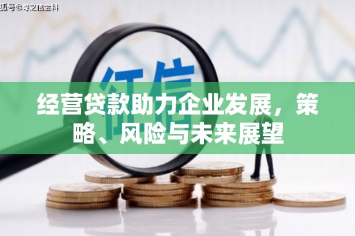 石龙经营贷款助力企业发展，策略、风险与未来展望
