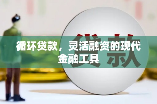 石龙循环贷款，灵活融资的现代金融工具