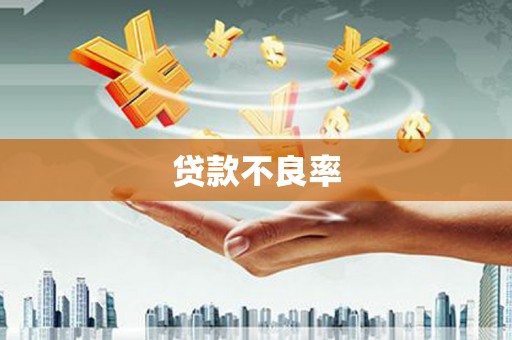 石龙贷款不良率