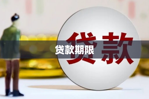 石龙贷款期限