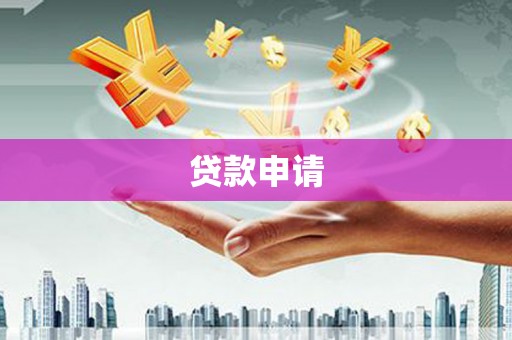 石龙贷款申请