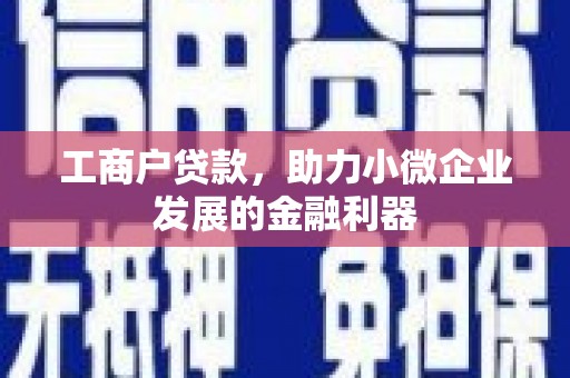 石龙工商户贷款，助力小微企业发展的金融利器