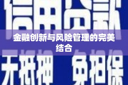 石龙金融创新与风险管理的完美结合