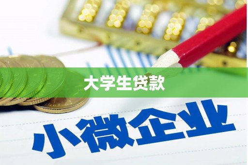 石龙大学生贷款