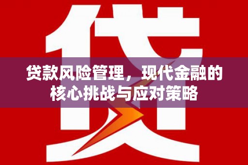 石龙贷款风险管理，现代金融的核心挑战与应对策略