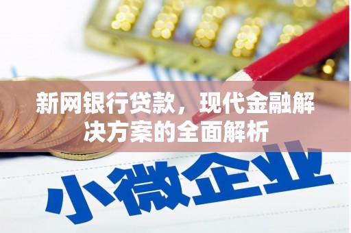 石龙新网银行贷款，现代金融解决方案的全面解析