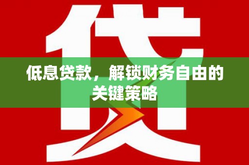 石龙低息贷款，解锁财务自由的关键策略