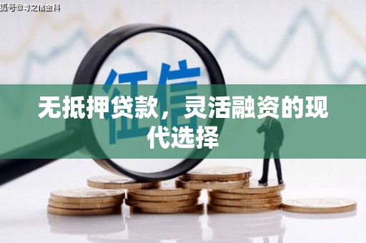 石龙无抵押贷款，灵活融资的现代选择